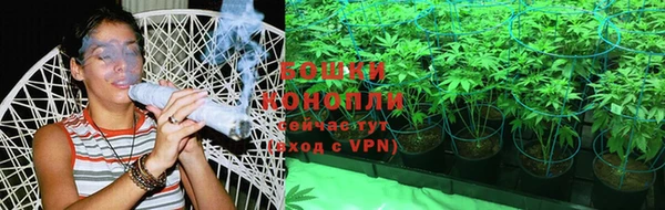 каннабис Алзамай
