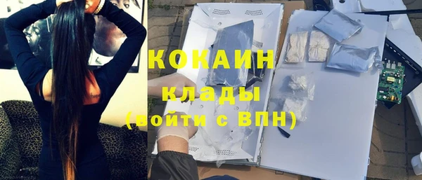 молекула духа Алексин