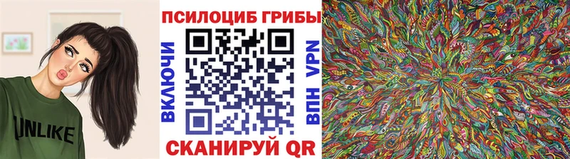 Галлюциногенные грибы Cubensis  Купить закладки  Сосенский 